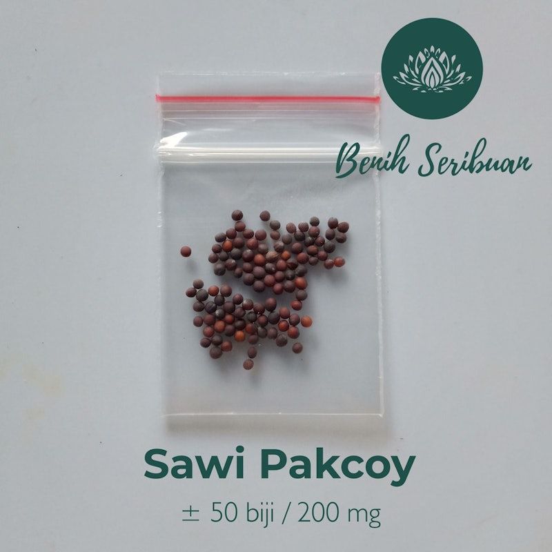 Sawi Pakchoy NAULI