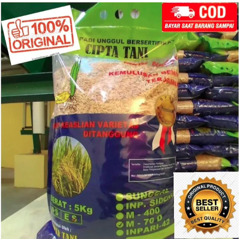 M Tani Benih Padi Unggul Berkualitas M70D 5 kg
