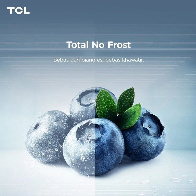 TCL Side By Side Refrigerator