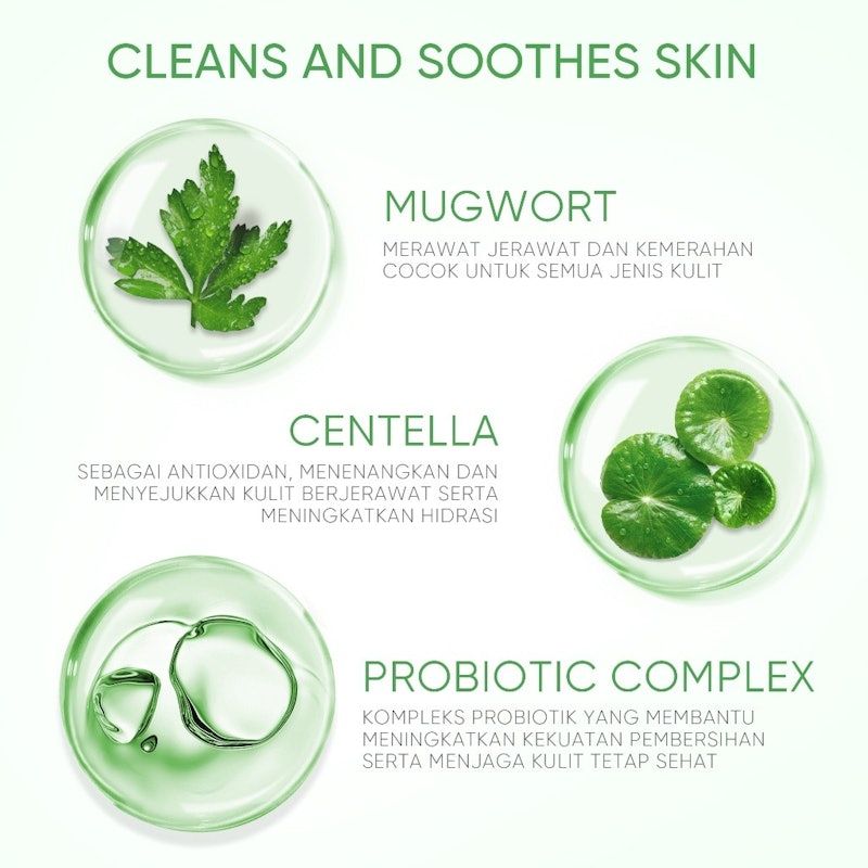 SKINTIFIC | Mugwort Purifying Micellar Water