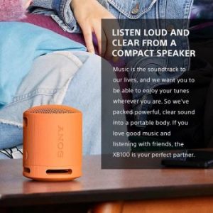 Sony | Portable Wireless Speaker