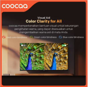 Coocaa 4K Google TV