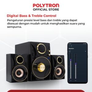 POLYTRON Bluetooth Speaker Multimedia