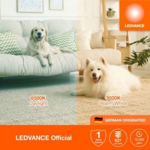 Osram LED Value Stick 10W