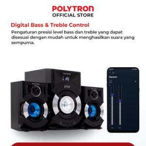 POLYTRON Multimedia Speaker