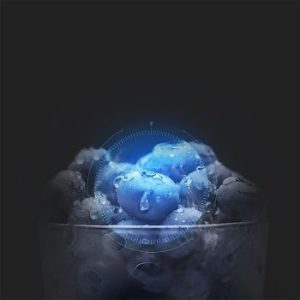 Changhong | Kulkas 1 Pintu