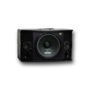 BMB CS-450 V (10”)