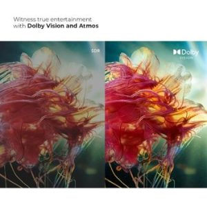 Polytron 4K UHD Smart Google TV 55 Inch