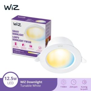 WiZ Smart Downlight Tunable White 12,5 W