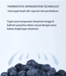 Changhong | Kulkas Dua Pintu Microfrost 122L