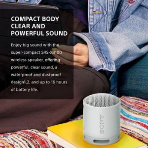 Sony | Portable Wireless Speaker