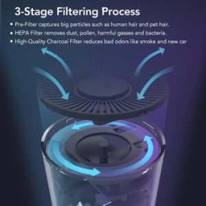 EraClean Car Air Purifier