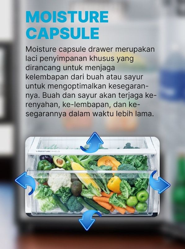 SHARP | New Queen Series 2021