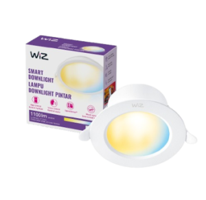 WiZ Smart Downlight Tunable White 12,5 W